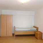 Shk - Moebliert - Wifi - Appartamento
